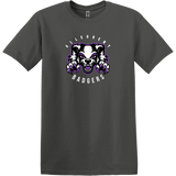 Lady Badgers Softstyle T-Shirt