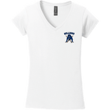 Chicago Bulldogs Softstyle Ladies Fit V-Neck T-Shirt