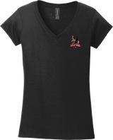 NJ Valkyries Softstyle Ladies Fit V-Neck T-Shirt