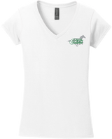 NJ Colts Softstyle Ladies Fit V-Neck T-Shirt