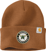 CT ECHO Stars Carhartt Watch Cap 2.0