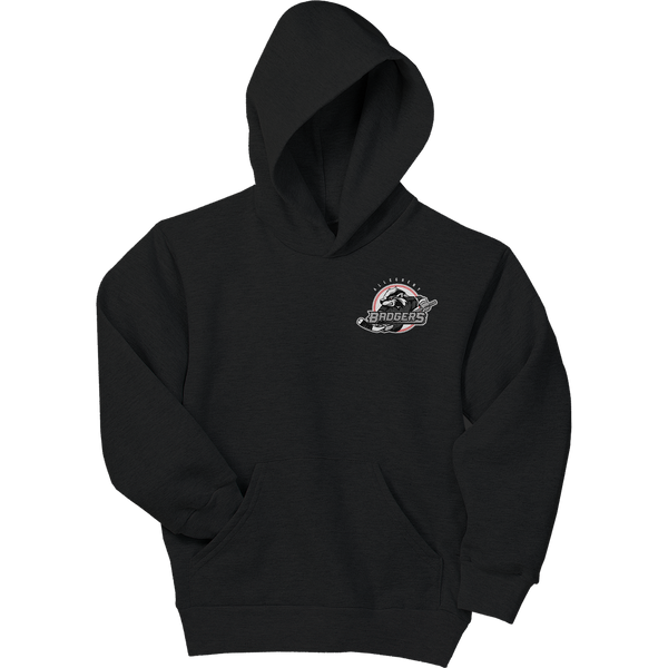 Allegheny Badgers Youth EcoSmart Pullover Hooded Sweatshirt