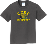 Chester County Youth Fan Favorite Tee